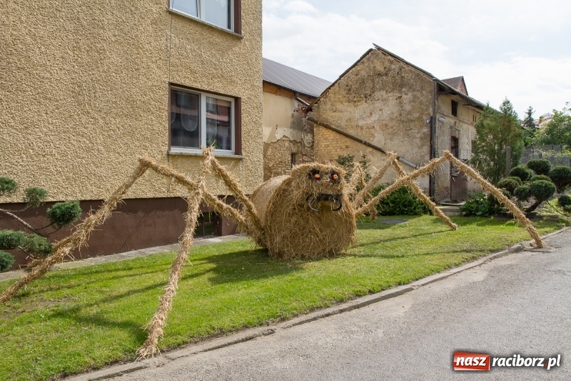 Zdjęcie w galerii na portalu naszraciborz.pl: Samborowickie dożynki z archeologią w tle wiadomości z regionu