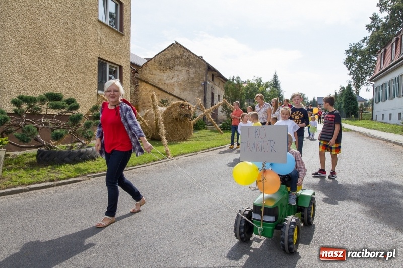 Zdjęcie w galerii na portalu naszraciborz.pl: Samborowickie dożynki z archeologią w tle wiadomości z regionu