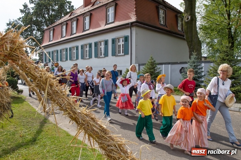 Zdjęcie w galerii na portalu naszraciborz.pl: Samborowickie dożynki z archeologią w tle wiadomości z regionu