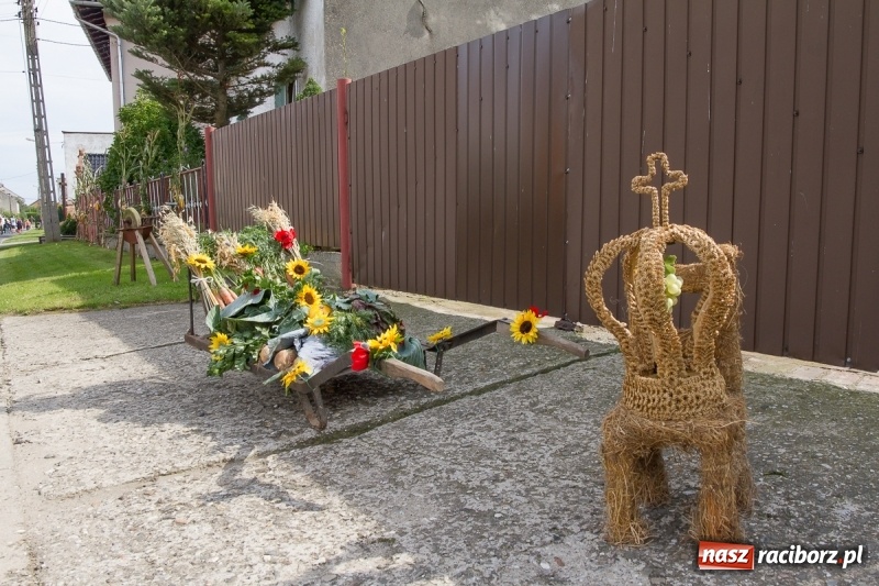 Zdjęcie w galerii na portalu naszraciborz.pl: Samborowickie dożynki z archeologią w tle wiadomości z regionu