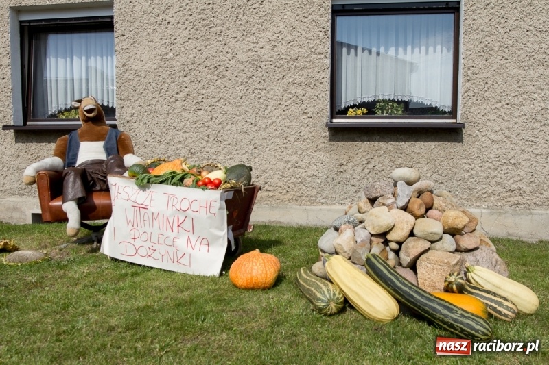 Zdjęcie w galerii na portalu naszraciborz.pl: Samborowickie dożynki z archeologią w tle wiadomości z regionu