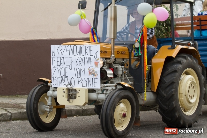 Zdjęcie w galerii na portalu naszraciborz.pl: Barwne i wesołe dożynki w Krzanowicach wiadomości z regionu