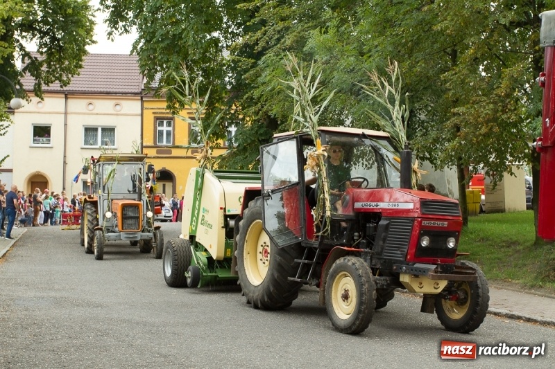 Zdjęcie w galerii na portalu naszraciborz.pl: Barwne i wesołe dożynki w Krzanowicach wiadomości z regionu