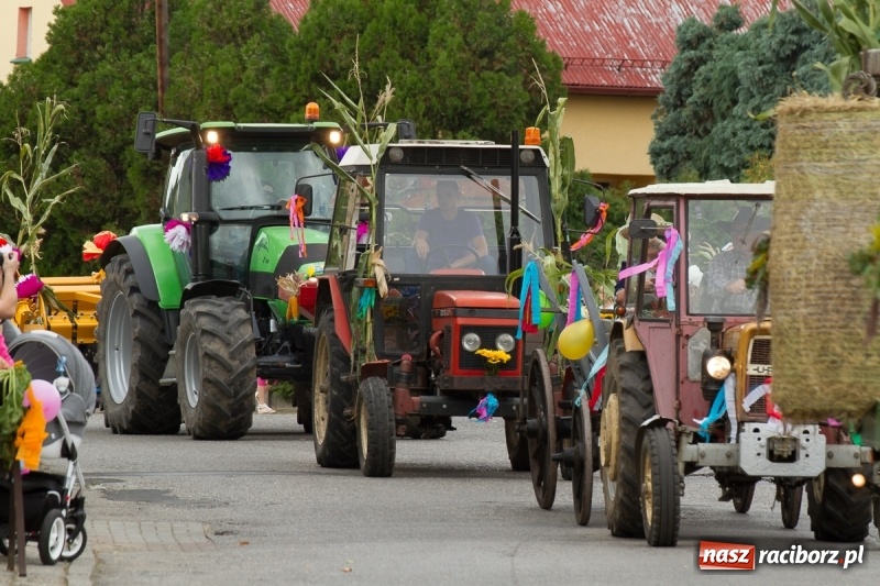 Zdjęcie w galerii na portalu naszraciborz.pl: Barwne i wesołe dożynki w Krzanowicach wiadomości z regionu