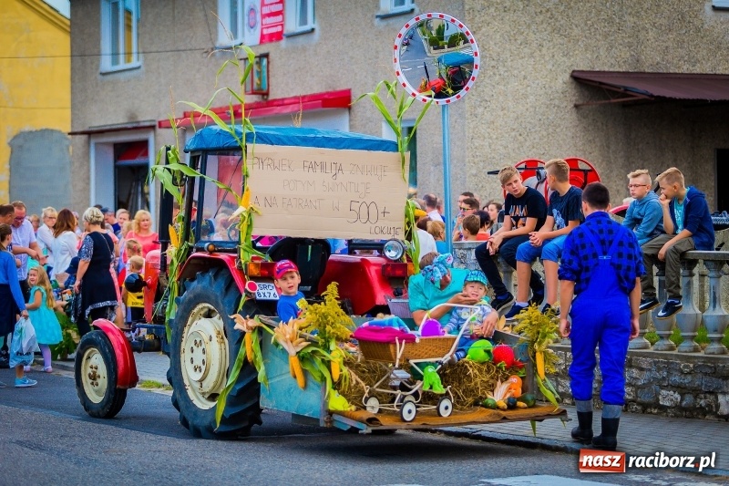 Zdjęcie w galerii na portalu naszraciborz.pl: Mobilne spa, stare wypieki i chleb ze smalcem, czyli święto plonów w Owsiszczach wiadomości z regionu