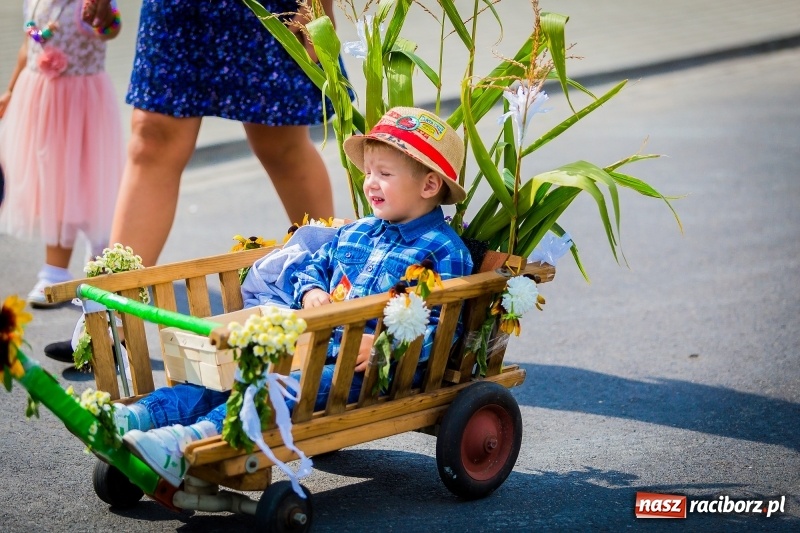Zdjęcie w galerii na portalu naszraciborz.pl: Mobilne spa, stare wypieki i chleb ze smalcem, czyli święto plonów w Owsiszczach wiadomości z regionu