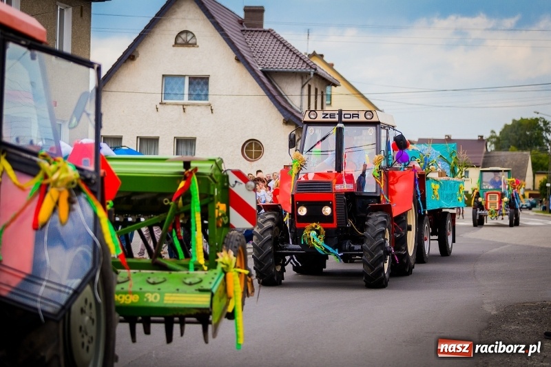 Zdjęcie w galerii na portalu naszraciborz.pl: Mobilne spa, stare wypieki i chleb ze smalcem, czyli święto plonów w Owsiszczach wiadomości z regionu