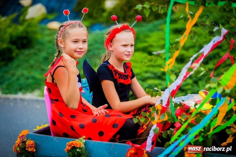 Zdjęcie w galerii na portalu naszraciborz.pl: Mobilne spa, stare wypieki i chleb ze smalcem, czyli święto plonów w Owsiszczach wiadomości z regionu