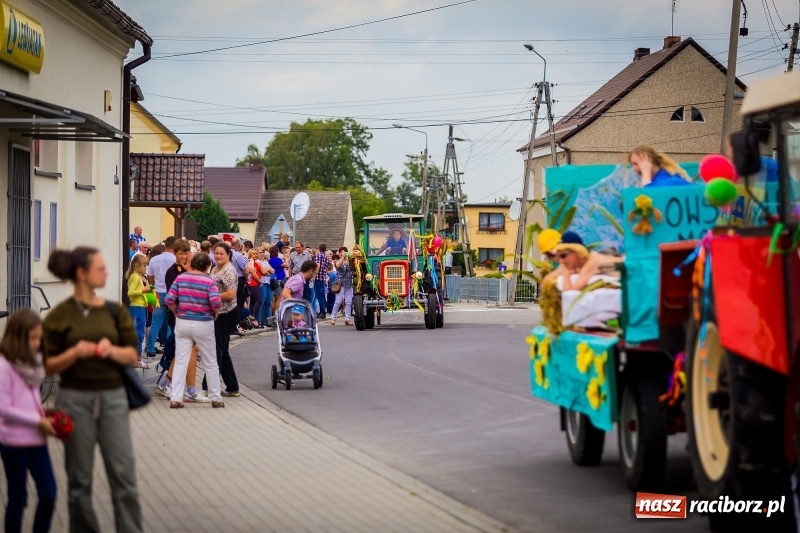 Zdjęcie w galerii na portalu naszraciborz.pl: Mobilne spa, stare wypieki i chleb ze smalcem, czyli święto plonów w Owsiszczach wiadomości z regionu
