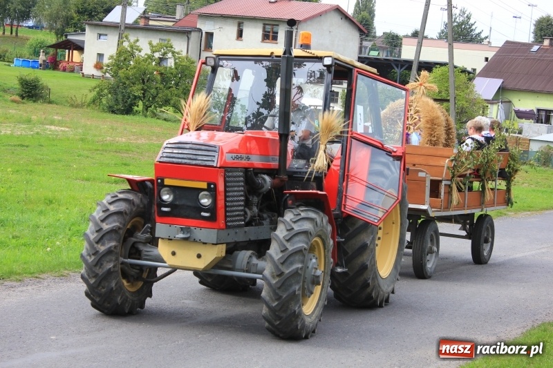 Zdjęcie w galerii na portalu naszraciborz.pl: Niebiańska szkoła, biuro ochrony dożynek i kobylskie leniuchy na dożynkach w Rzuchowie wiadomości z regionu
