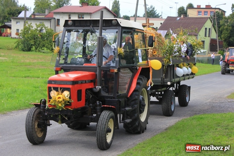 Zdjęcie w galerii na portalu naszraciborz.pl: Niebiańska szkoła, biuro ochrony dożynek i kobylskie leniuchy na dożynkach w Rzuchowie wiadomości z regionu