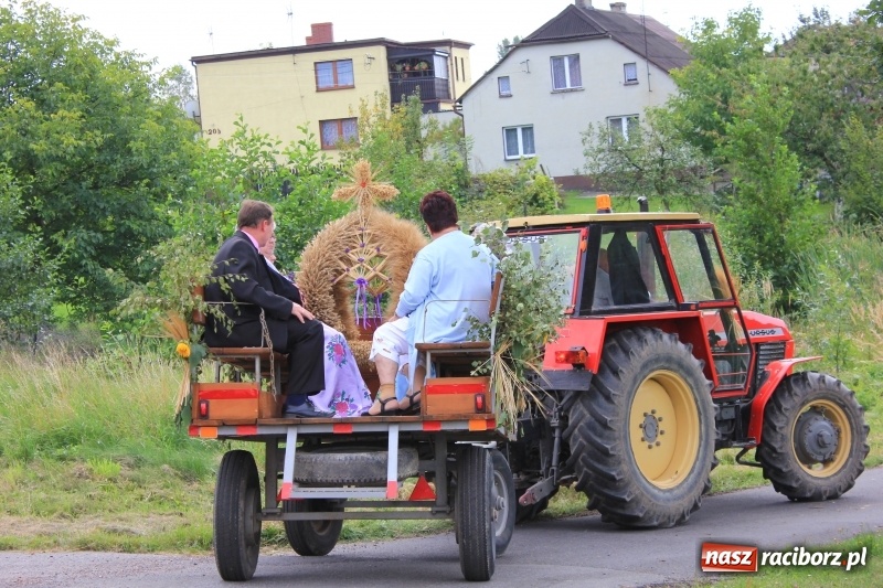 Zdjęcie w galerii na portalu naszraciborz.pl: Niebiańska szkoła, biuro ochrony dożynek i kobylskie leniuchy na dożynkach w Rzuchowie wiadomości z regionu