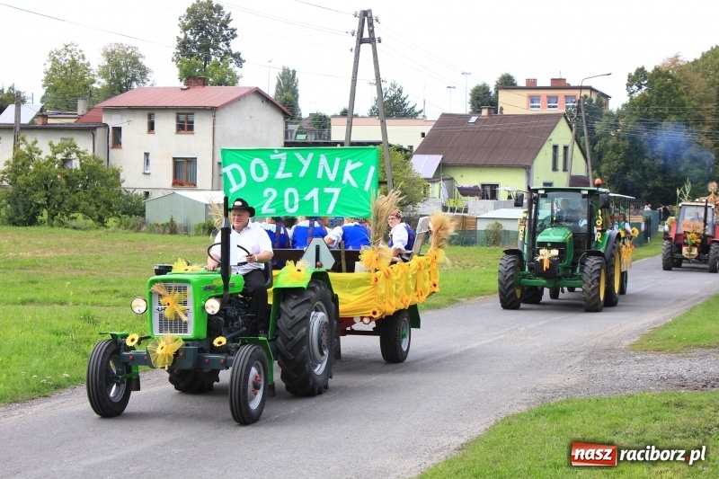 Zdjęcie w galerii na portalu naszraciborz.pl: Niebiańska szkoła, biuro ochrony dożynek i kobylskie leniuchy na dożynkach w Rzuchowie wiadomości z regionu