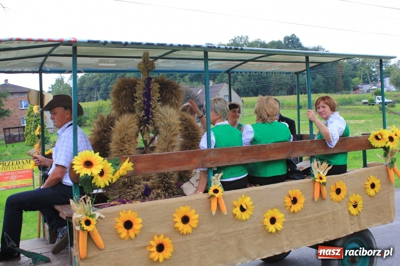 Zdjęcie w galerii na portalu naszraciborz.pl: Niebiańska szkoła, biuro ochrony dożynek i kobylskie leniuchy na dożynkach w Rzuchowie wiadomości z regionu