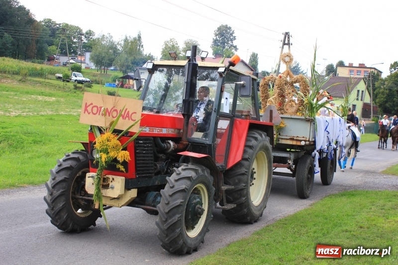 Zdjęcie w galerii na portalu naszraciborz.pl: Niebiańska szkoła, biuro ochrony dożynek i kobylskie leniuchy na dożynkach w Rzuchowie wiadomości z regionu