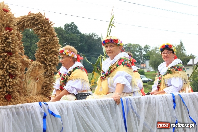 Zdjęcie w galerii na portalu naszraciborz.pl: Niebiańska szkoła, biuro ochrony dożynek i kobylskie leniuchy na dożynkach w Rzuchowie wiadomości z regionu