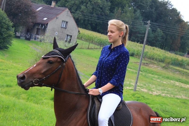 Zdjęcie w galerii na portalu naszraciborz.pl: Niebiańska szkoła, biuro ochrony dożynek i kobylskie leniuchy na dożynkach w Rzuchowie wiadomości z regionu