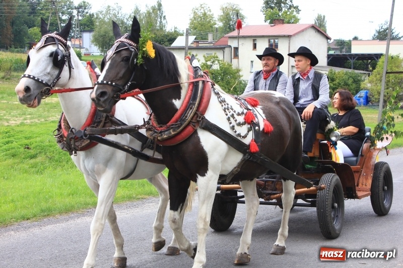 Zdjęcie w galerii na portalu naszraciborz.pl: Niebiańska szkoła, biuro ochrony dożynek i kobylskie leniuchy na dożynkach w Rzuchowie wiadomości z regionu