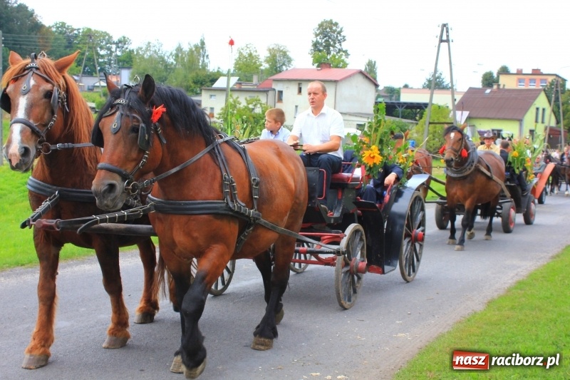Zdjęcie w galerii na portalu naszraciborz.pl: Niebiańska szkoła, biuro ochrony dożynek i kobylskie leniuchy na dożynkach w Rzuchowie wiadomości z regionu