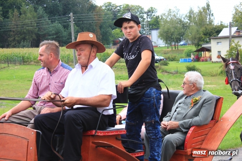 Zdjęcie w galerii na portalu naszraciborz.pl: Niebiańska szkoła, biuro ochrony dożynek i kobylskie leniuchy na dożynkach w Rzuchowie wiadomości z regionu