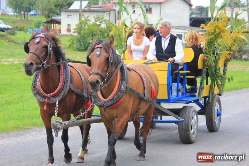 Zdjęcie w galerii na portalu naszraciborz.pl: Niebiańska szkoła, biuro ochrony dożynek i kobylskie leniuchy na dożynkach w Rzuchowie wiadomości z regionu