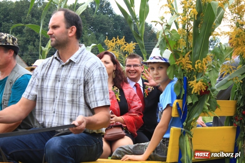 Zdjęcie w galerii na portalu naszraciborz.pl: Niebiańska szkoła, biuro ochrony dożynek i kobylskie leniuchy na dożynkach w Rzuchowie wiadomości z regionu
