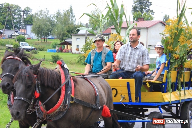 Zdjęcie w galerii na portalu naszraciborz.pl: Niebiańska szkoła, biuro ochrony dożynek i kobylskie leniuchy na dożynkach w Rzuchowie wiadomości z regionu