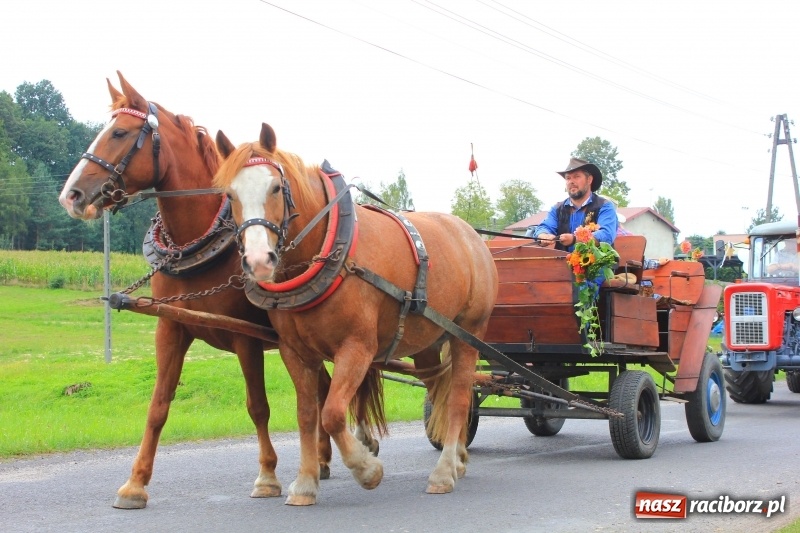 Zdjęcie w galerii na portalu naszraciborz.pl: Niebiańska szkoła, biuro ochrony dożynek i kobylskie leniuchy na dożynkach w Rzuchowie wiadomości z regionu