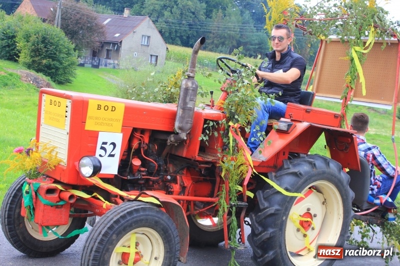 Zdjęcie w galerii na portalu naszraciborz.pl: Niebiańska szkoła, biuro ochrony dożynek i kobylskie leniuchy na dożynkach w Rzuchowie wiadomości z regionu