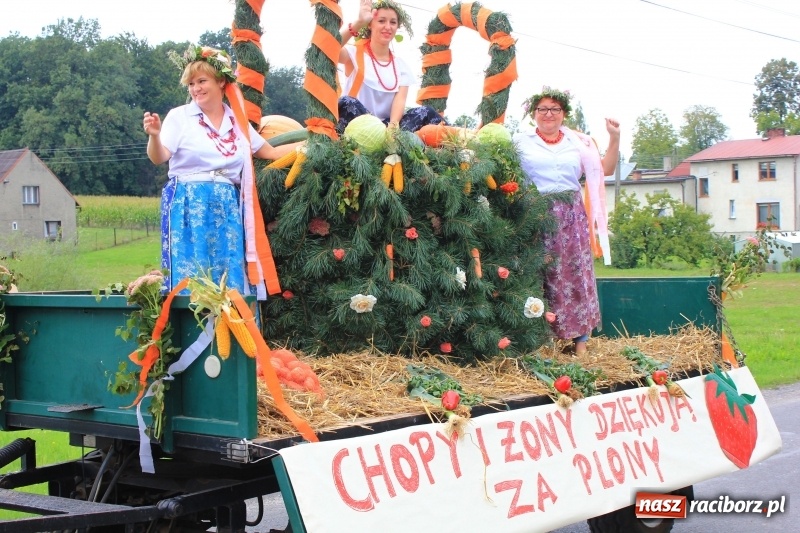 Zdjęcie w galerii na portalu naszraciborz.pl: Niebiańska szkoła, biuro ochrony dożynek i kobylskie leniuchy na dożynkach w Rzuchowie wiadomości z regionu