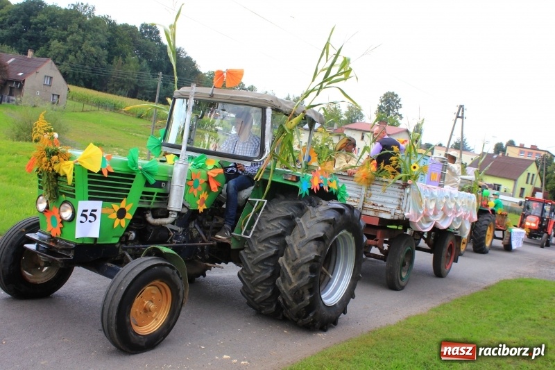 Zdjęcie w galerii na portalu naszraciborz.pl: Niebiańska szkoła, biuro ochrony dożynek i kobylskie leniuchy na dożynkach w Rzuchowie wiadomości z regionu