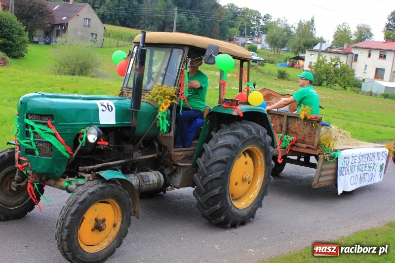 Zdjęcie w galerii na portalu naszraciborz.pl: Niebiańska szkoła, biuro ochrony dożynek i kobylskie leniuchy na dożynkach w Rzuchowie wiadomości z regionu