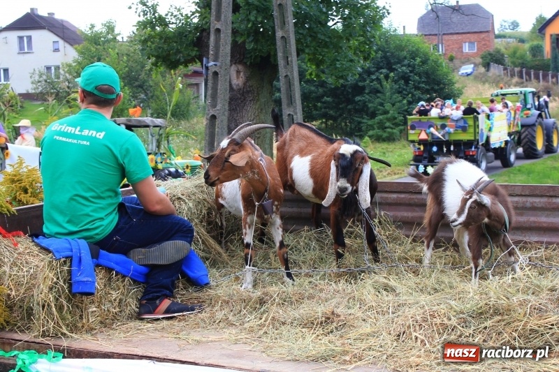Zdjęcie w galerii na portalu naszraciborz.pl: Niebiańska szkoła, biuro ochrony dożynek i kobylskie leniuchy na dożynkach w Rzuchowie wiadomości z regionu