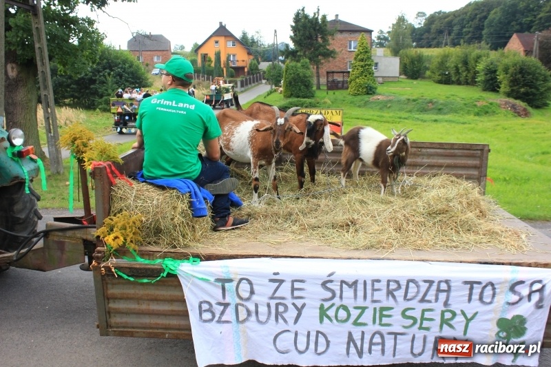 Zdjęcie w galerii na portalu naszraciborz.pl: Niebiańska szkoła, biuro ochrony dożynek i kobylskie leniuchy na dożynkach w Rzuchowie wiadomości z regionu