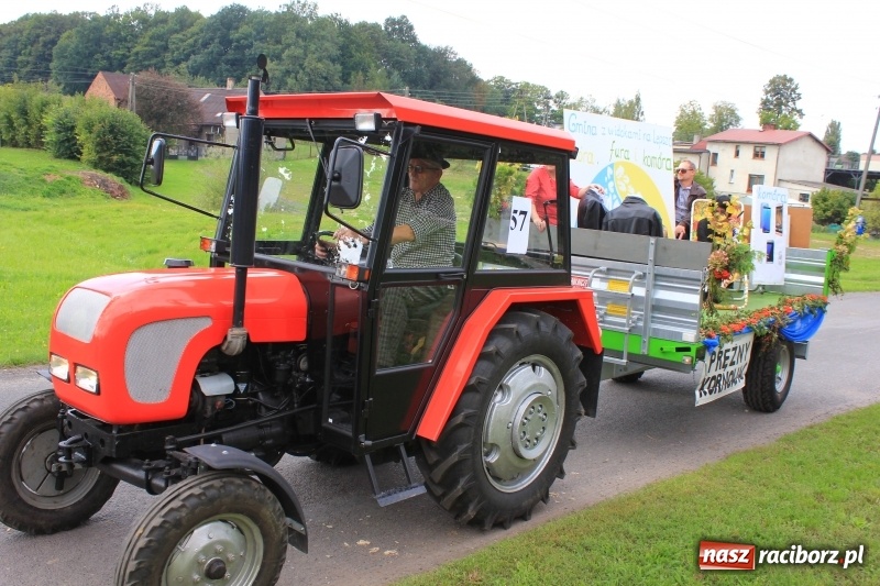Zdjęcie w galerii na portalu naszraciborz.pl: Niebiańska szkoła, biuro ochrony dożynek i kobylskie leniuchy na dożynkach w Rzuchowie wiadomości z regionu