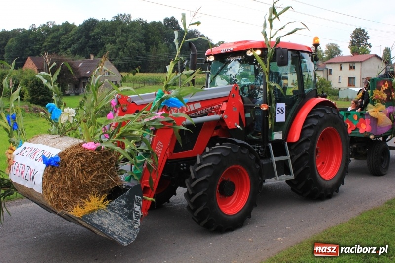 Zdjęcie w galerii na portalu naszraciborz.pl: Niebiańska szkoła, biuro ochrony dożynek i kobylskie leniuchy na dożynkach w Rzuchowie wiadomości z regionu