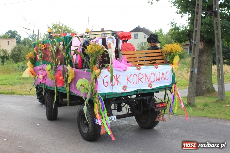 Zdjęcie w galerii na portalu naszraciborz.pl: Niebiańska szkoła, biuro ochrony dożynek i kobylskie leniuchy na dożynkach w Rzuchowie wiadomości z regionu