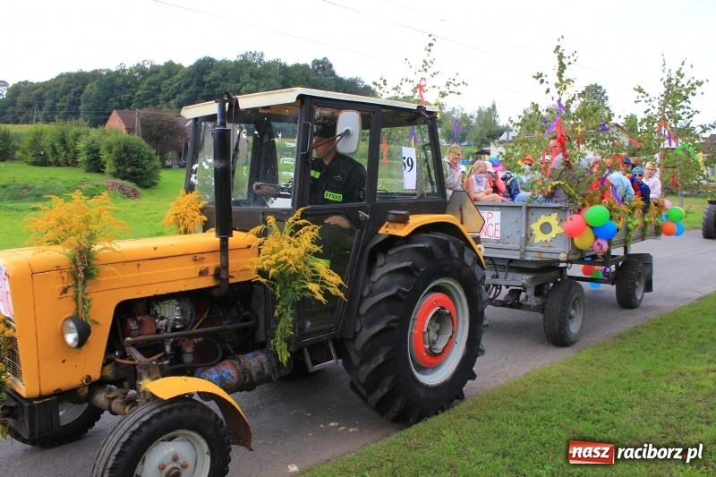 Zdjęcie w galerii na portalu naszraciborz.pl: Niebiańska szkoła, biuro ochrony dożynek i kobylskie leniuchy na dożynkach w Rzuchowie wiadomości z regionu