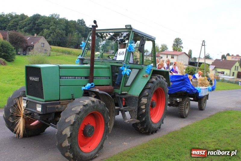 Zdjęcie w galerii na portalu naszraciborz.pl: Niebiańska szkoła, biuro ochrony dożynek i kobylskie leniuchy na dożynkach w Rzuchowie wiadomości z regionu