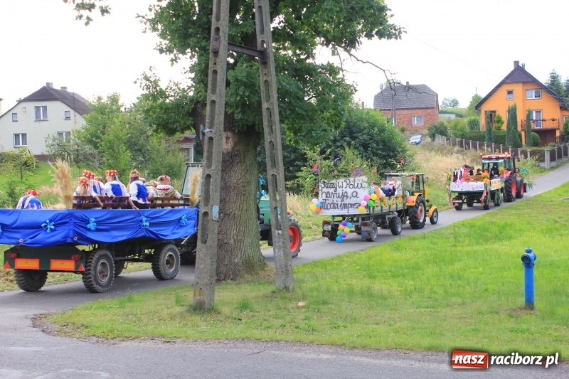 Zdjęcie w galerii na portalu naszraciborz.pl: Niebiańska szkoła, biuro ochrony dożynek i kobylskie leniuchy na dożynkach w Rzuchowie wiadomości z regionu