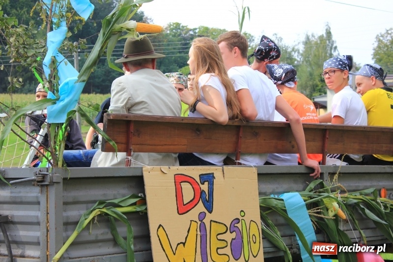 Zdjęcie w galerii na portalu naszraciborz.pl: Niebiańska szkoła, biuro ochrony dożynek i kobylskie leniuchy na dożynkach w Rzuchowie wiadomości z regionu