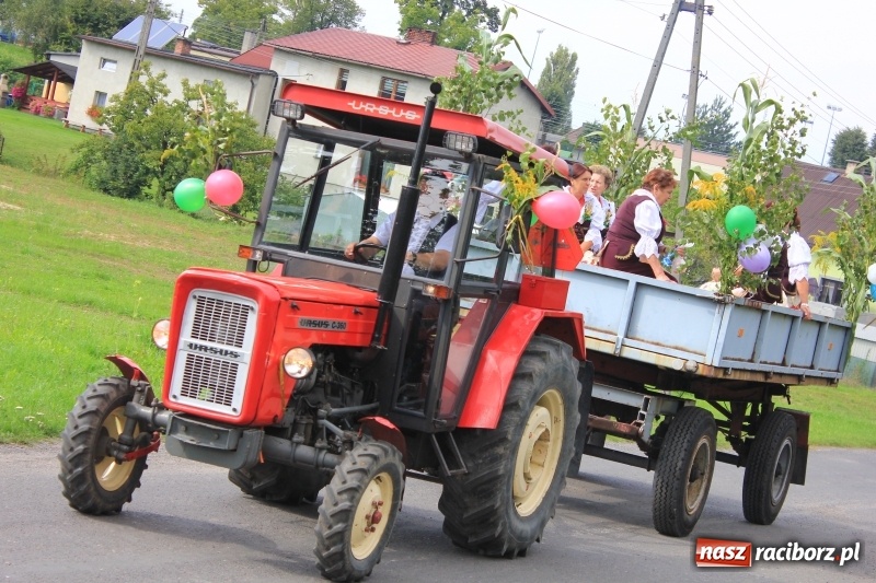 Zdjęcie w galerii na portalu naszraciborz.pl: Niebiańska szkoła, biuro ochrony dożynek i kobylskie leniuchy na dożynkach w Rzuchowie wiadomości z regionu