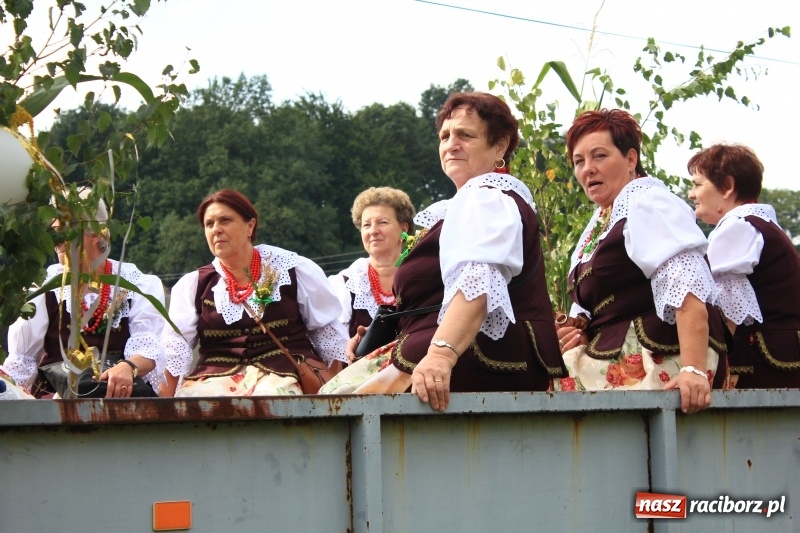 Zdjęcie w galerii na portalu naszraciborz.pl: Niebiańska szkoła, biuro ochrony dożynek i kobylskie leniuchy na dożynkach w Rzuchowie wiadomości z regionu