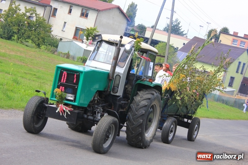 Zdjęcie w galerii na portalu naszraciborz.pl: Niebiańska szkoła, biuro ochrony dożynek i kobylskie leniuchy na dożynkach w Rzuchowie wiadomości z regionu