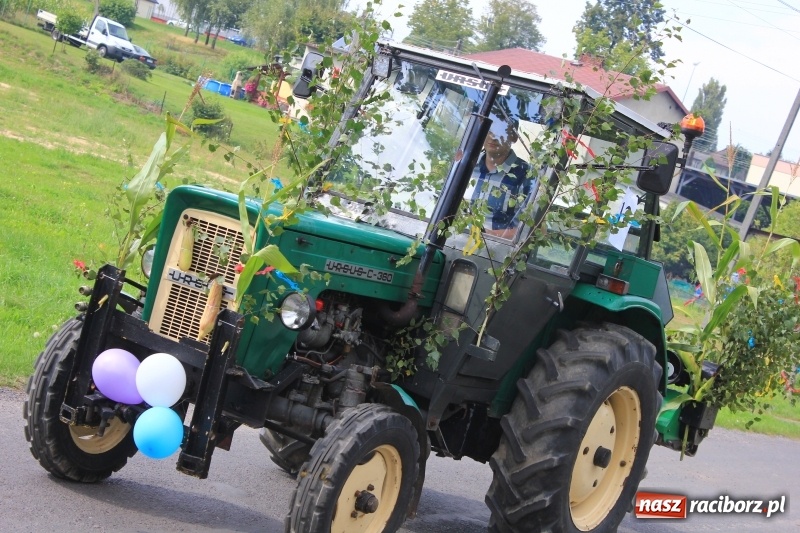 Zdjęcie w galerii na portalu naszraciborz.pl: Niebiańska szkoła, biuro ochrony dożynek i kobylskie leniuchy na dożynkach w Rzuchowie wiadomości z regionu
