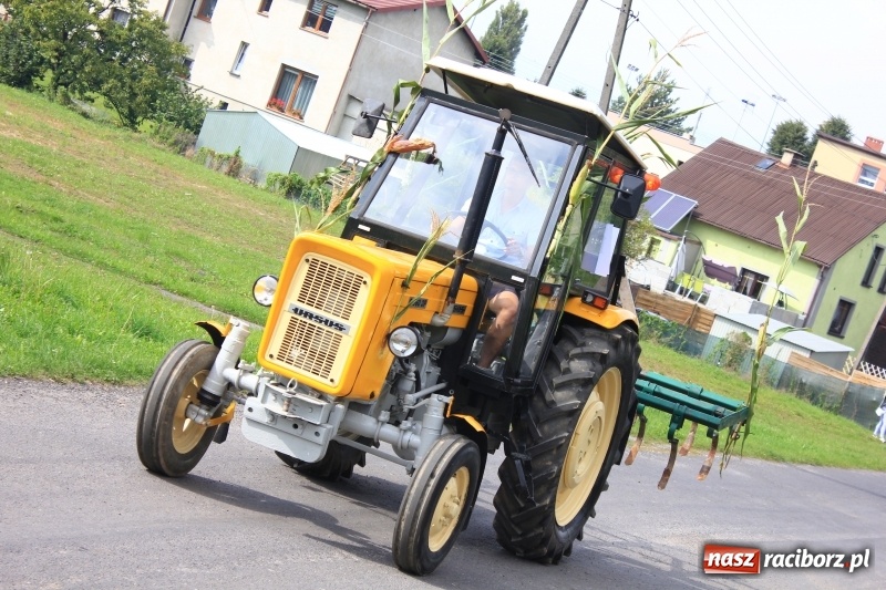 Zdjęcie w galerii na portalu naszraciborz.pl: Niebiańska szkoła, biuro ochrony dożynek i kobylskie leniuchy na dożynkach w Rzuchowie wiadomości z regionu