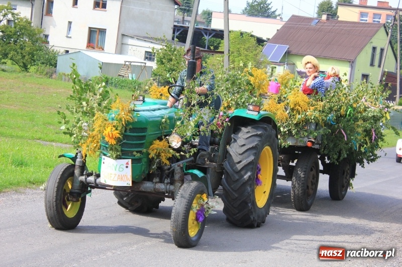 Zdjęcie w galerii na portalu naszraciborz.pl: Niebiańska szkoła, biuro ochrony dożynek i kobylskie leniuchy na dożynkach w Rzuchowie wiadomości z regionu