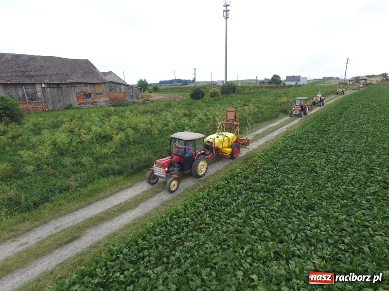 Zdjęcie w galerii na portalu naszraciborz.pl: Na dożynkach w Modzurowie i Szonowicach wiadomości z regionu