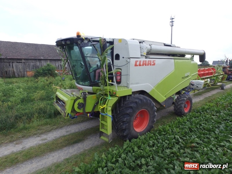 Zdjęcie w galerii na portalu naszraciborz.pl: Na dożynkach w Modzurowie i Szonowicach wiadomości z regionu