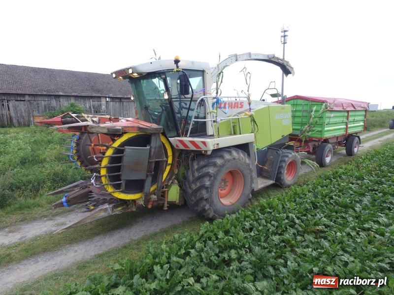 Zdjęcie w galerii na portalu naszraciborz.pl: Na dożynkach w Modzurowie i Szonowicach wiadomości z regionu